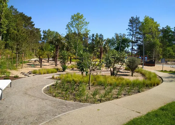 Admiral Ii 슈비노우이스쳬